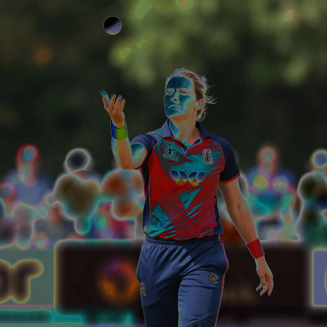 One Wicket, One Stumping: What ODI Cricket's Rarest List Actually Measures One Wicket, One Stumping: What ODI Cricket's Rarest List Actually Measures